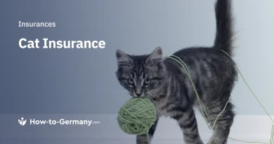 Cat Insurance Germany